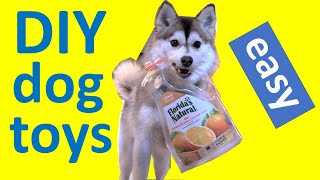 Diy Dog Toys 5 Everyday Objects We Use To Keep Our Pomsky Puppy Busy Plastic Bottles, Bones, Etc.