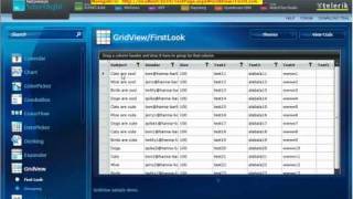 Free web testing tool for ASP.NET AJAX/Silverlight