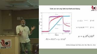 8. L08 AFM for cell mechanics
