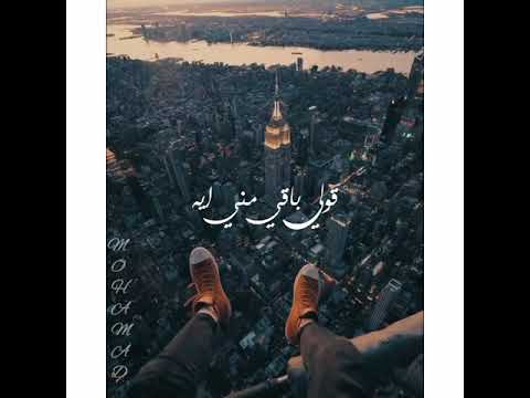 اجمل حالات واتس اب محمد سعيد Mohammed Saeed