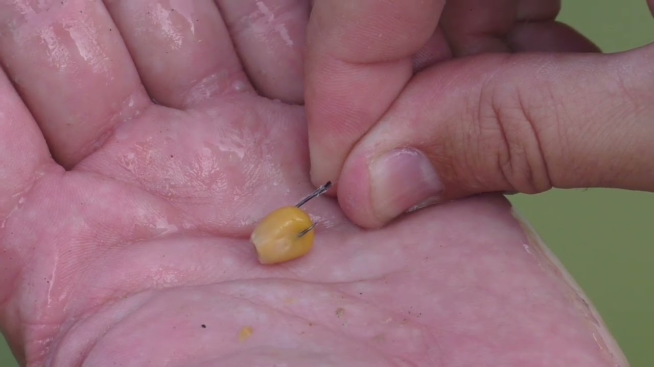 team bazza carpodromo estivo