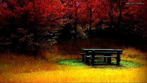 سورة العلق القارئ ابراهيم الجبرين