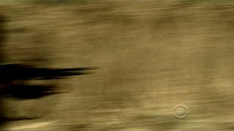 The unit 4x07 snake doc going crazy