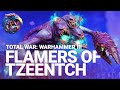 IMMOLATION INITIATIVE - A PERFECT Flamers of Tzeentch Strategy - Total War Warhammer 3