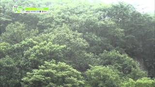 생방송 투데이 130902 #9(7)