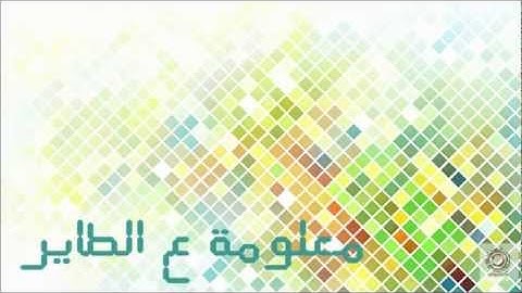 كمبيوتراوي - اظهار واخفاء  شريط التمرير في اكسل