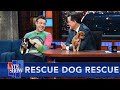 Rescue Dog Rescue with Jason Sudeikis