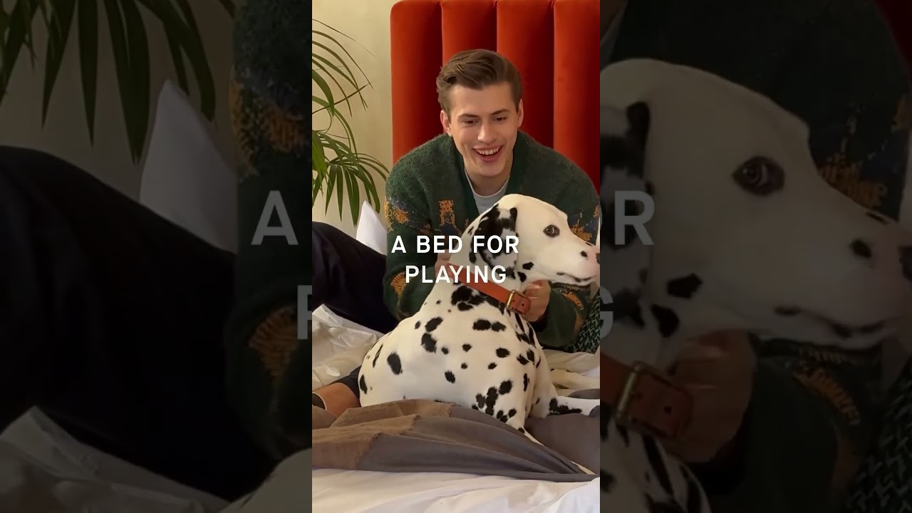 Savoir Beds - No5 - The Savvy - Luxury bed