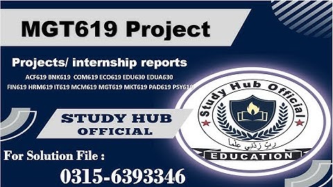 MGT619 Project and proposal