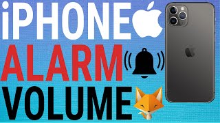 How To Change Alarm Volume on IOS (iPhone / iPad) screenshot 3