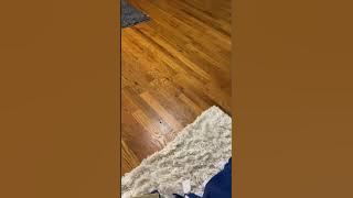 Download lagu Stomping Upstairs Neighbor SLAMMING his Feet into the Floor