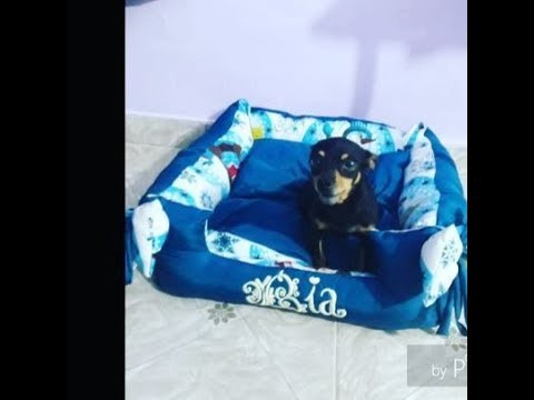COMO FAZER CAMINHA PARA PET COM ZÍPER / ROUPAS PET/ CURSO ONLINE DE MODA PET