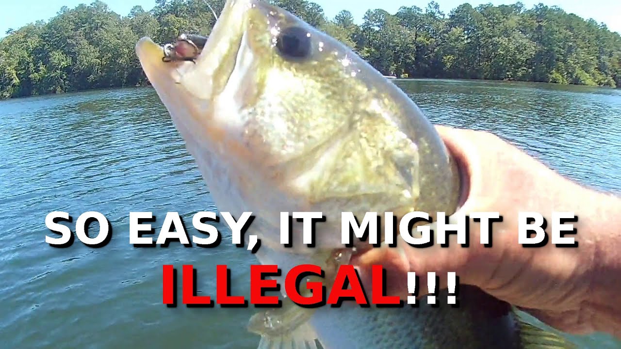 The EASIEST Lure CHEATS For Winter Bass Fishing!