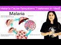 Malaria Cause Symptoms Diagnosis Treatment Hindi Life Cycle Of Plasmodium Hindi What Is Malaria 