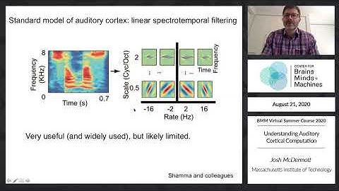 Understanding Auditory Cortical Computation