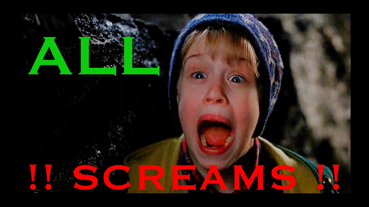 Home Alone 2 all screams