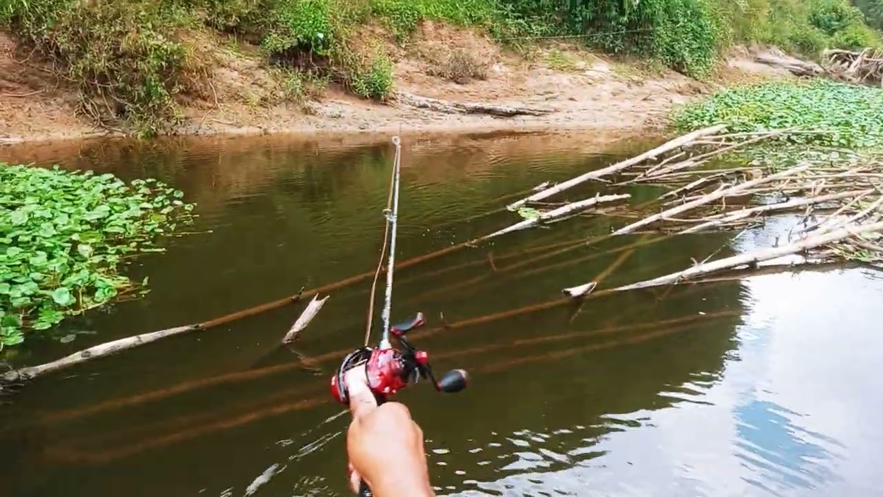 Pescaria de traira no Rio iguaçu , espero que gostem , se gostar se increve ,deixa o like pra ajudar