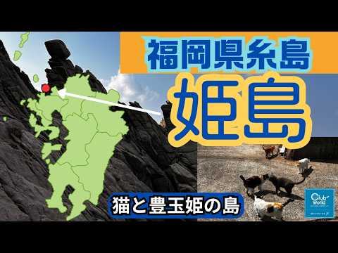 福岡県糸島、神秘の姫島を散策✨豊玉姫生誕の洞窟、維新の母・女流歌人野村望東尼の足跡、絶景散歩🐾時々猫🐈