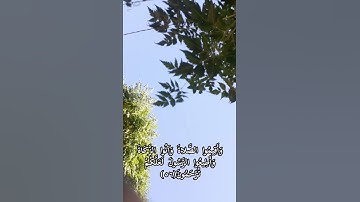 سورة النور (٥٥-٥٦) عبد الله الخلف