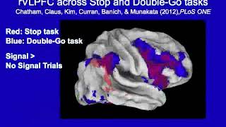 The development of cognitive control: inhibition or proactive control?