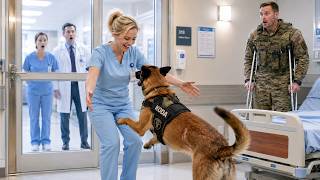 Quiet Nurse Called “Supply Girl” for 5 Years—Until a Military K9 Revealed Her Secret Rank