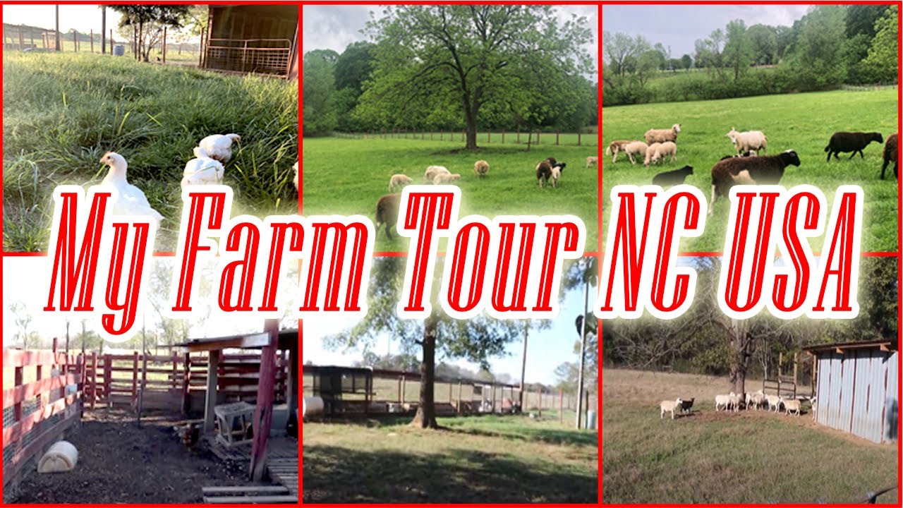 My Farm Tour North Carolina USA Farm Land In Charlotte NC Desi My Farm Tour North Carolina USA Farm Land In Charlotte NC Desi