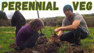 EVERLASTING VEG (perennial veg, fruit trees and Mobile chicken coop!) by Off Grid Bruce 8,259 views 1 year ago 25 minutes