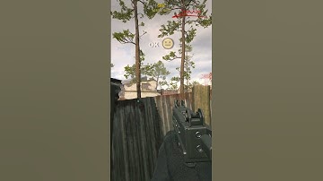 ok trees...😐 / MW3 Beta Bug