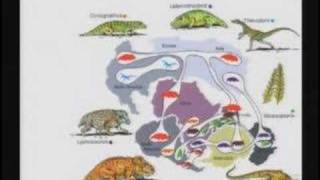 Famous Creation versus Evolution Seminar 6 Part 2 Wealth