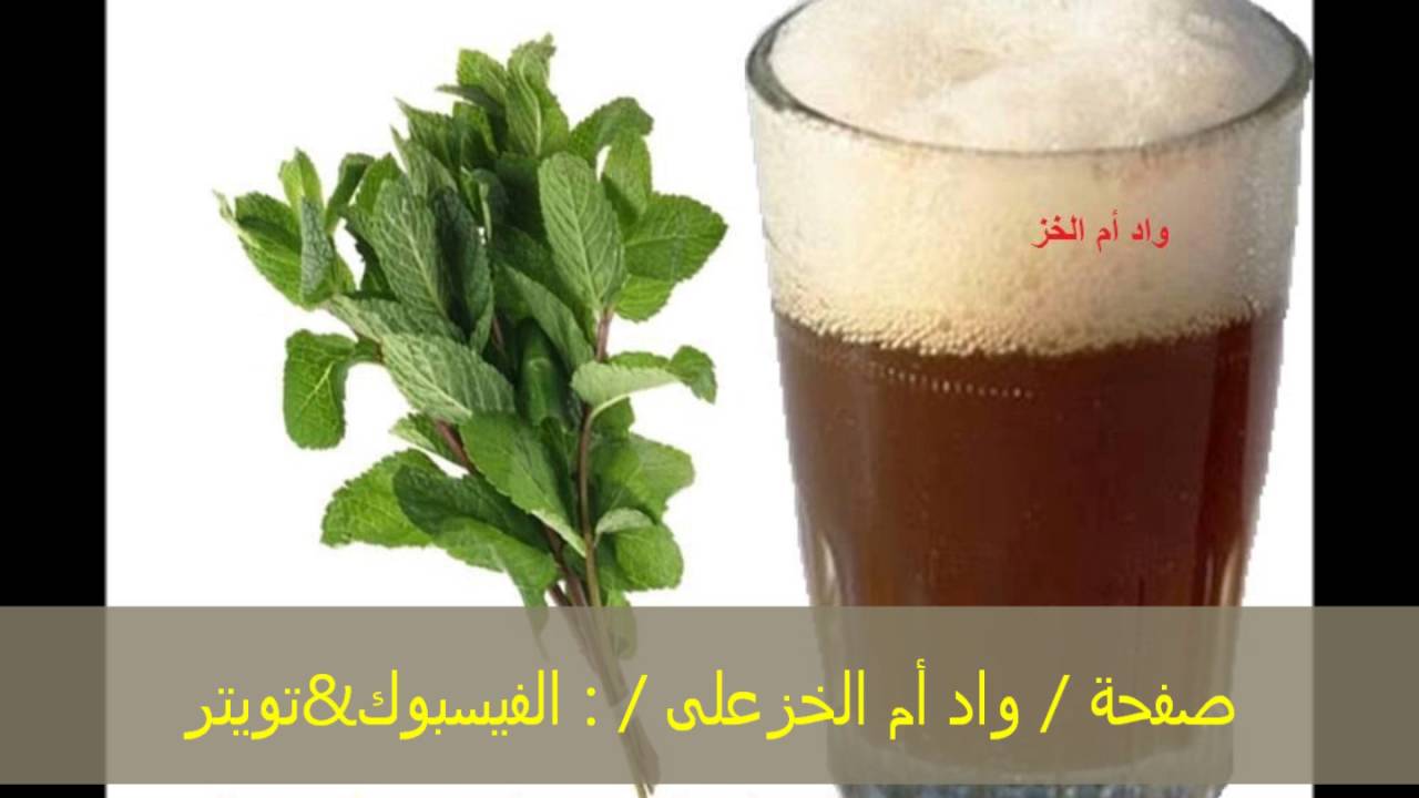 الفنانة النانة منت الشيخ احمد