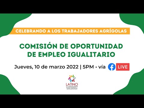 ¿Qué Es La Comisión De Igualdad De Oportunidades En El Empleo?