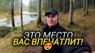 💚 Охта Парк - МЕСТО, которое НЕ оставит РАВНОДУШНЫМ 🥹 | Что ПОСМОТРЕТЬ в Питере