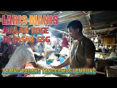 INTIP PEDAGNG TOGE DI PASAR GSG TALANG PADANG