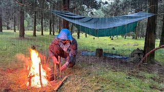 Solo camping in a rain STORM | In large pine forests | ASMR