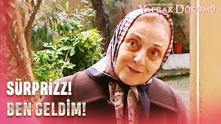 Cevriye Dayanamayıp İstanbula Gitti - Yaprak Dökümü 68. Bölüm