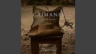 Video thumbnail of "Caimanes del Río Tuxpan - Becado por Dios"