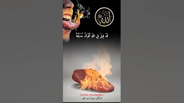 والله لو صاحب الإنسان جبريل لم يسلم المرء من قال ومن قيل قد قيل في الله أقوال مدبجة 