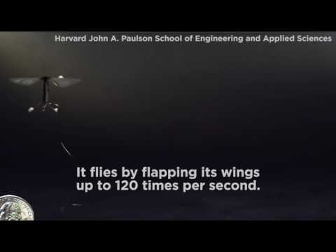Robot Bees