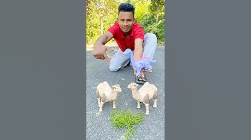 2 Ta RC Remote Control Camel Unboxing Dakho 😱