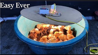 Easy Idea to hatch Chicks in Old Plastic Tub - Egg incubator