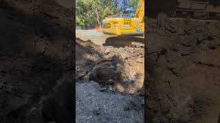 Little house septic removal