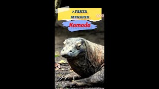7 Fakta Menarik Komodo