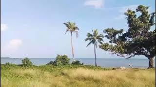 #TongaThe sound of the volcanic eruption/explosion of the Hunga Tonga-Hunga Ha'apai undersea volcano