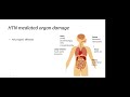 Management of hypertensive urgencies and emergencies  dr mary atef