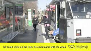 Download Lagu Amy: SED puppy carer MP3