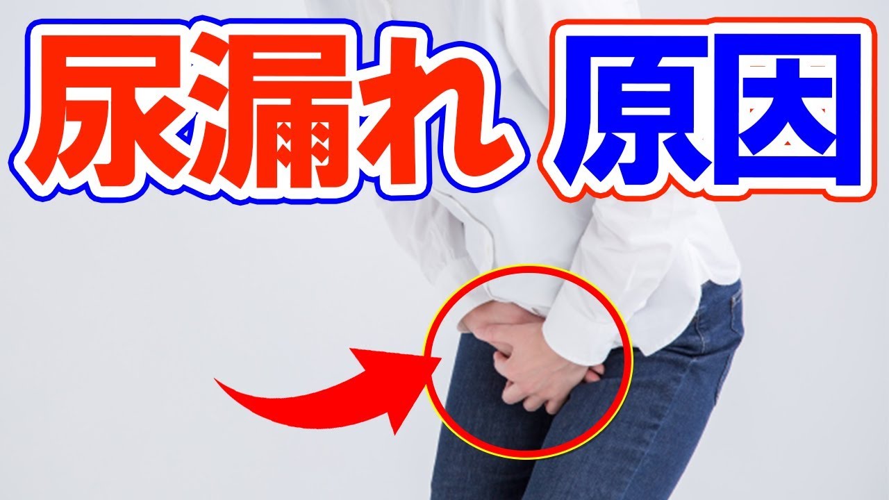 【衝撃】尿漏れ、3つの原因と予防法！女性も男性も今すぐ確認！ YouTube