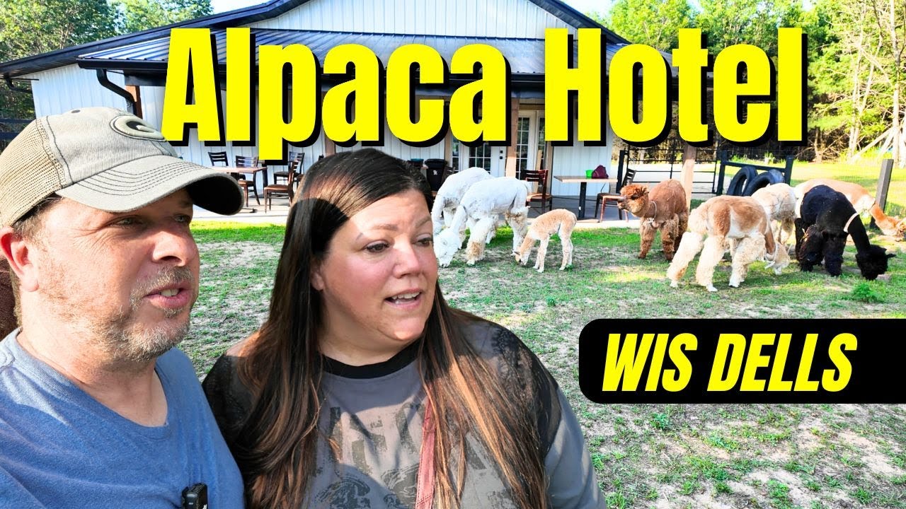 You Can Actually Stay Here! Casacampo Alpaca Ranch 🦙 WISCONSIN DELLS ...