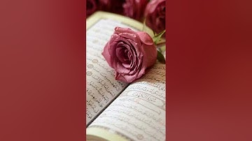 سورة البقرة (شهر رمضان الذي انزل فيه القران هدى للناس و بينات من الهدى والفرقان)💛💛