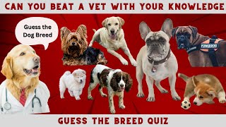 The ultimate dog breed challenge: Which breed is best? - Test Your Knowledge of Rare Dog Breeds 2024