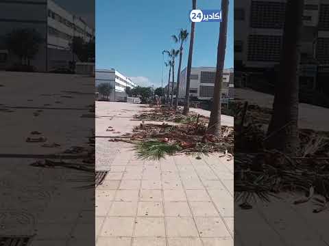 ساحة مسجد لبنان بأكادير تعيش في الظلام، و أشجارها بحاجة إلى التشديب.